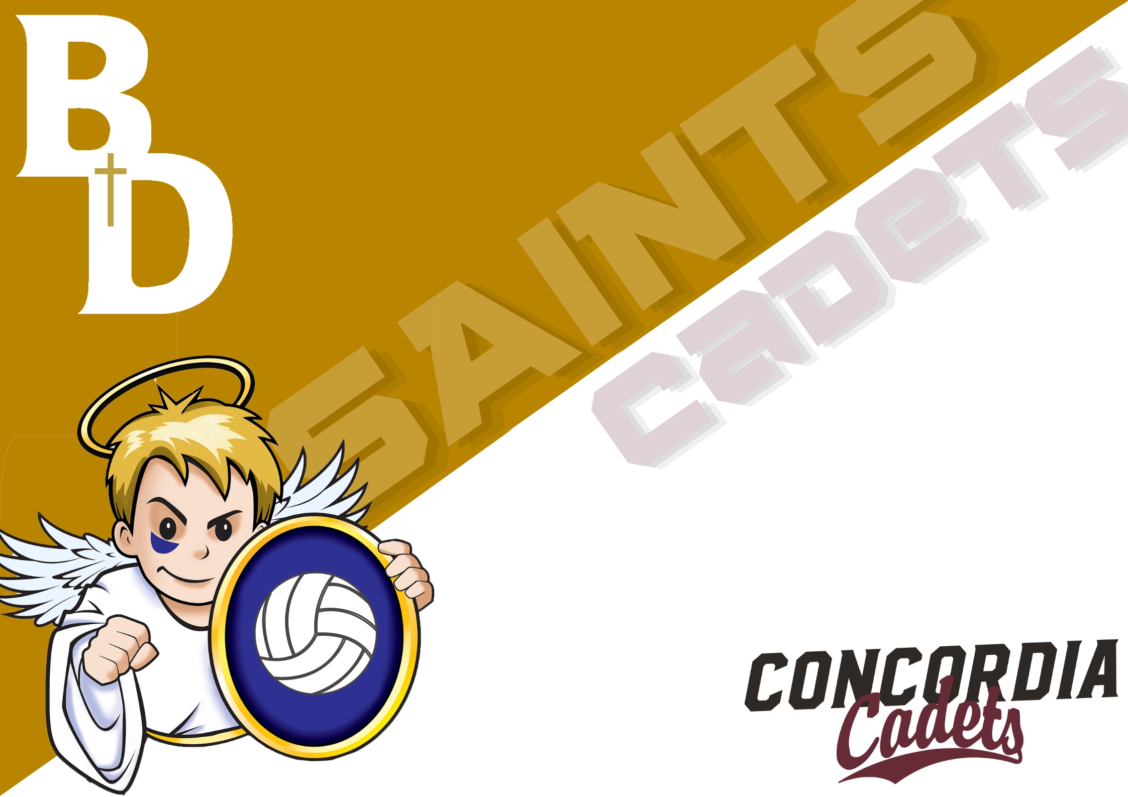 Boys Volleyball vs Concordia