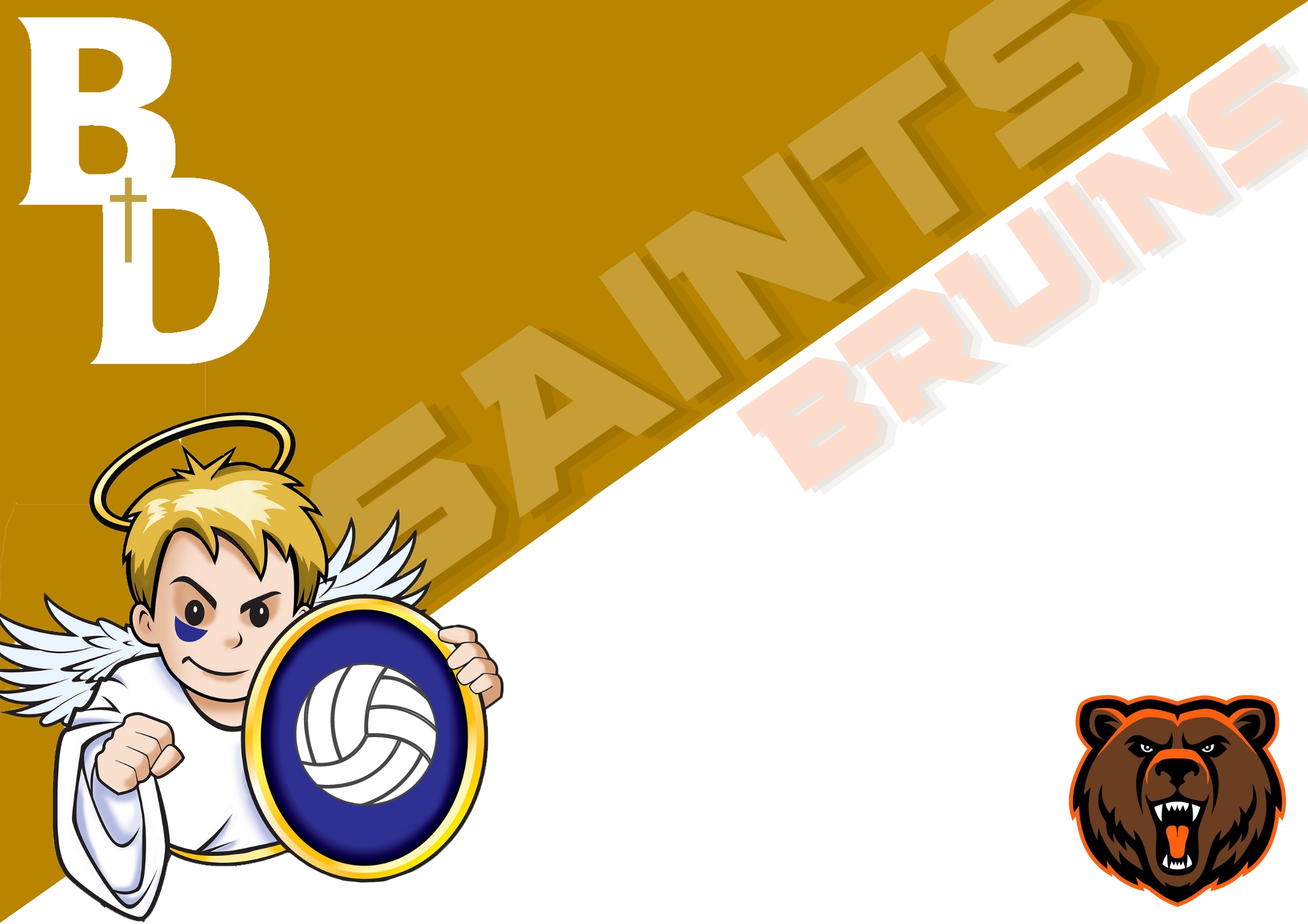 Boys Volleyball vs Northrop