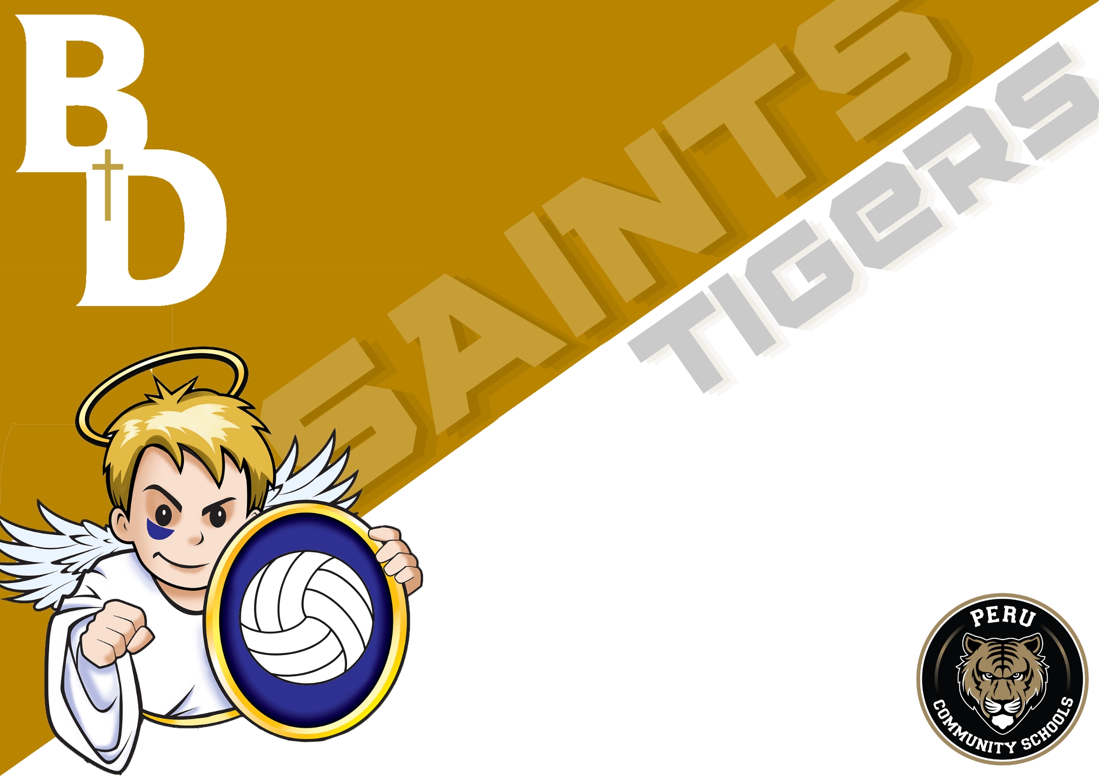 Boys Volleyball vs Peru