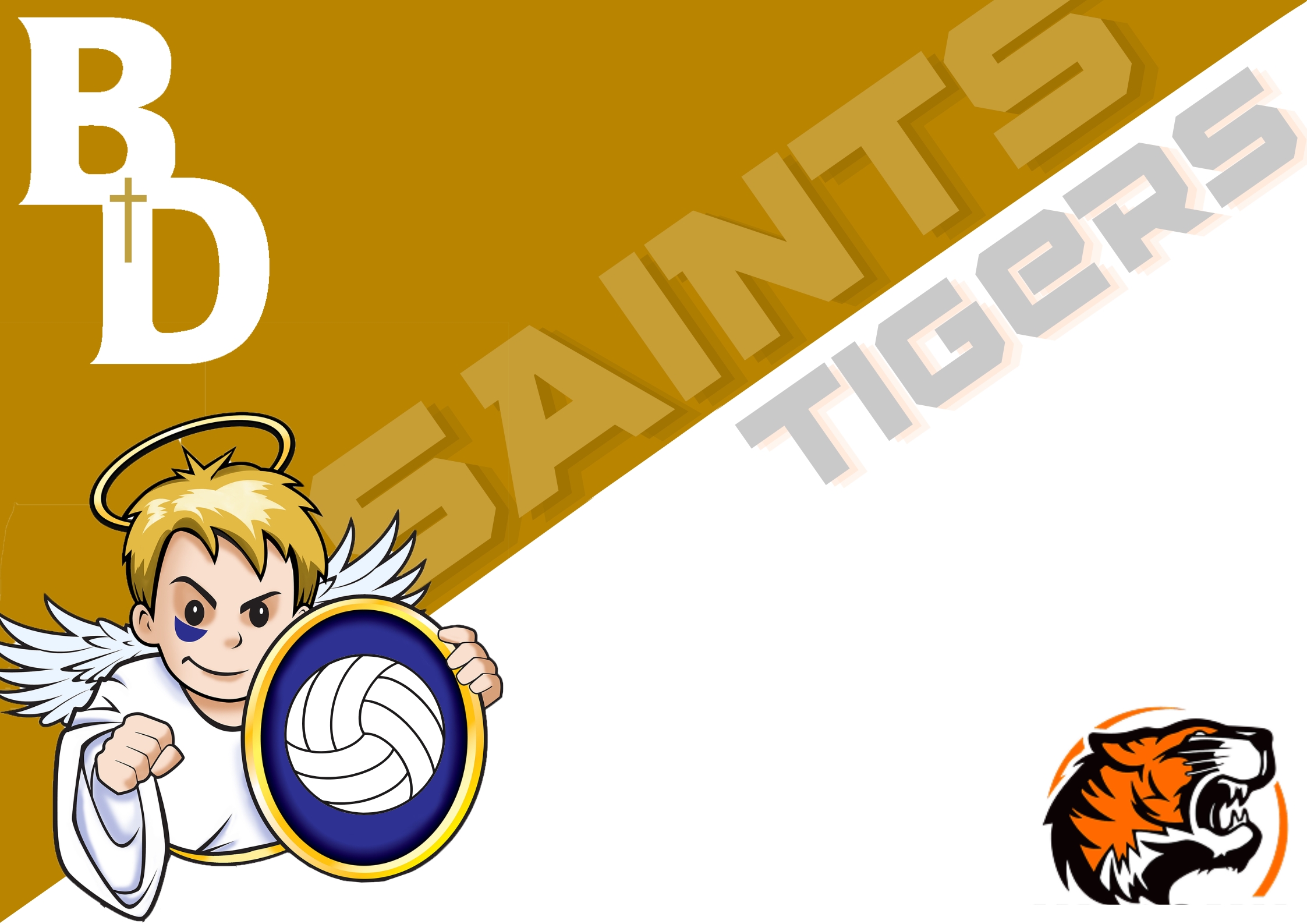 Boys Volleyball vs Warsaw